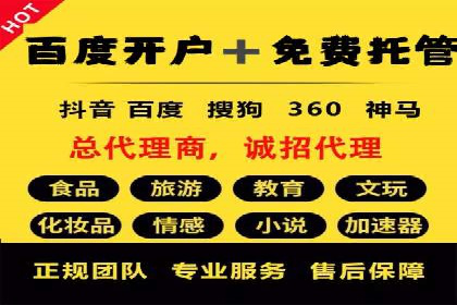 电商SEM推广案例解析